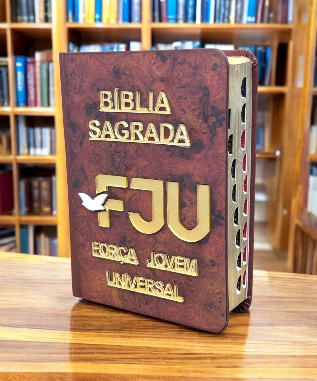 Bíblia FJU Marrom | ACF