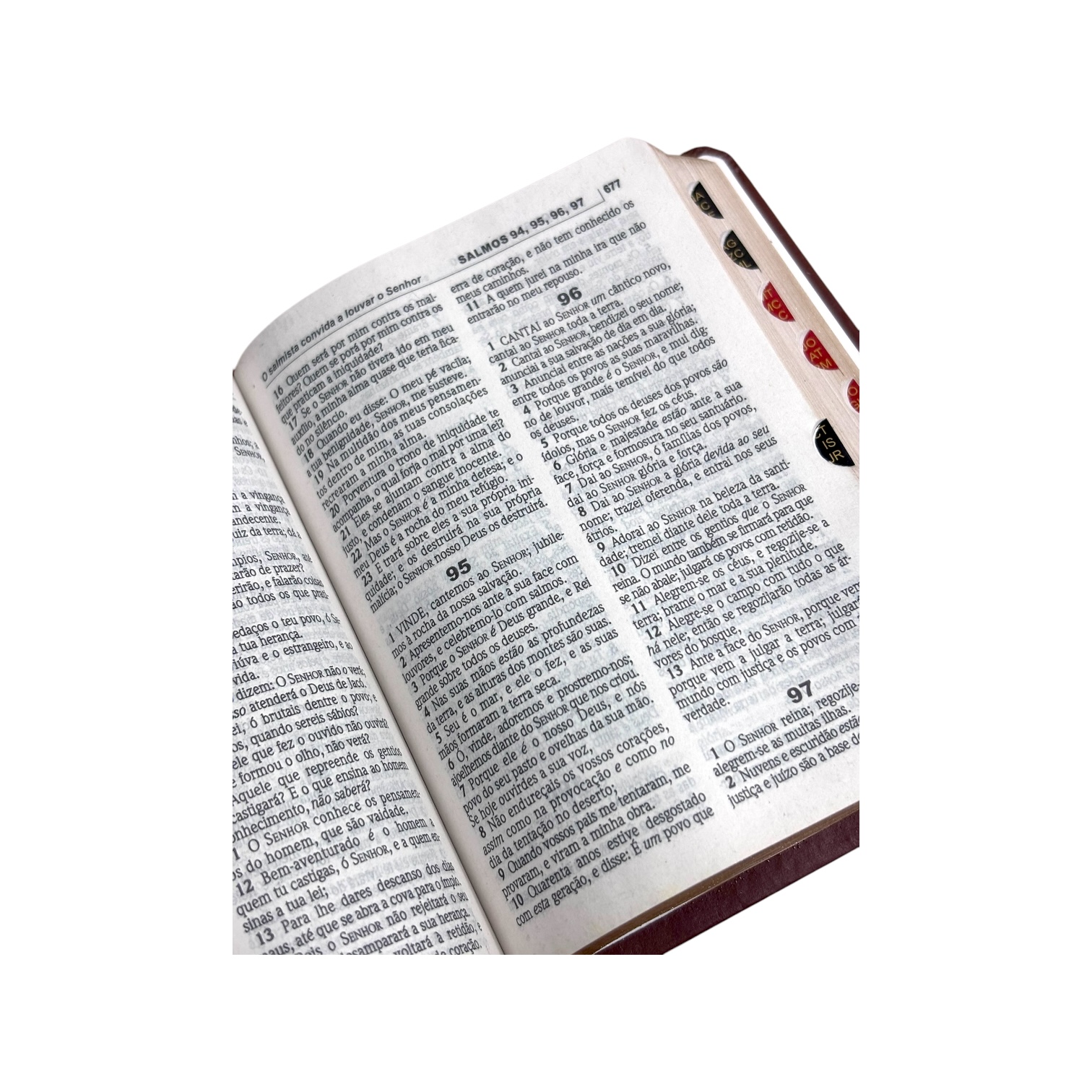Bíblia FJU Marrom | ACF - Imagem 3