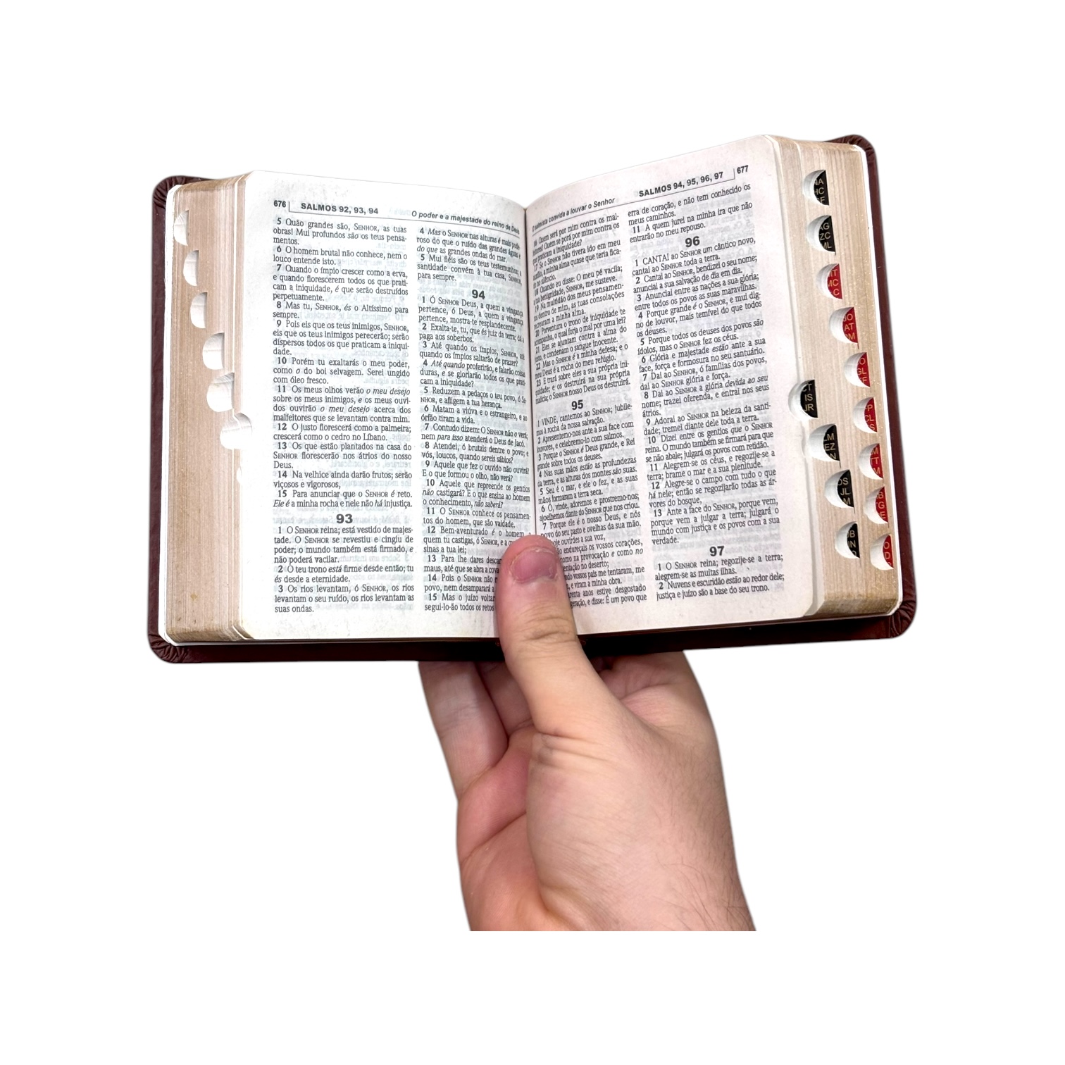 Bíblia FJU Marrom | ACF - Imagem 2